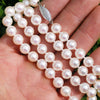Once Upon A Diamond Necklace White Gold 8MM Imperial Akoya Pearl Necklace Strand 18.5" White Gold Clasp